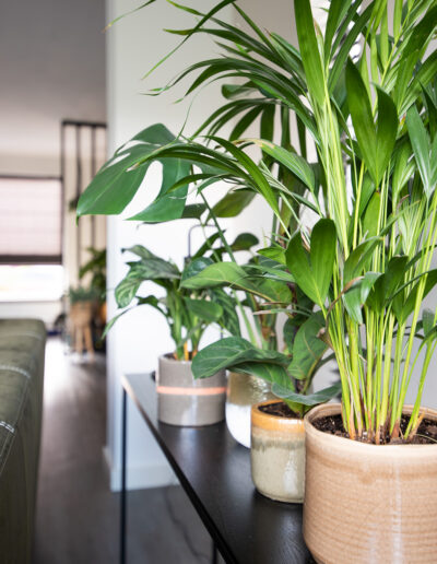 interieurstylist woonkamer Drunen Waalwijk planten groen